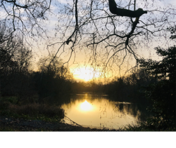 英王室御用達 プライベート病院発　知る人ぞ知る、絶品のマーマレードmain画像