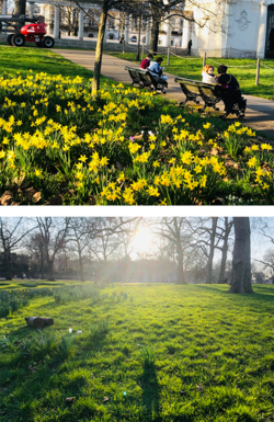 母の日に感謝の花束を贈る子供たち　女性の働きやすさランキングが発表にmain画像