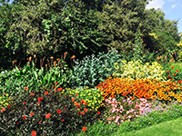 ウィンブルドン発、伝統の味といえばストロベリー＆クリームsub画像3