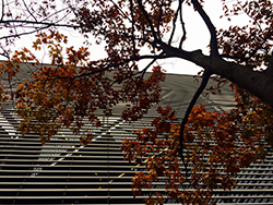 完全菜食主義バーガー「McVegan」　UK上陸はまもなくか？main画像