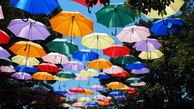 第114回 12月21日「傘」前編