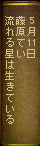 5月11日 藤原てい 流れる星は生きている