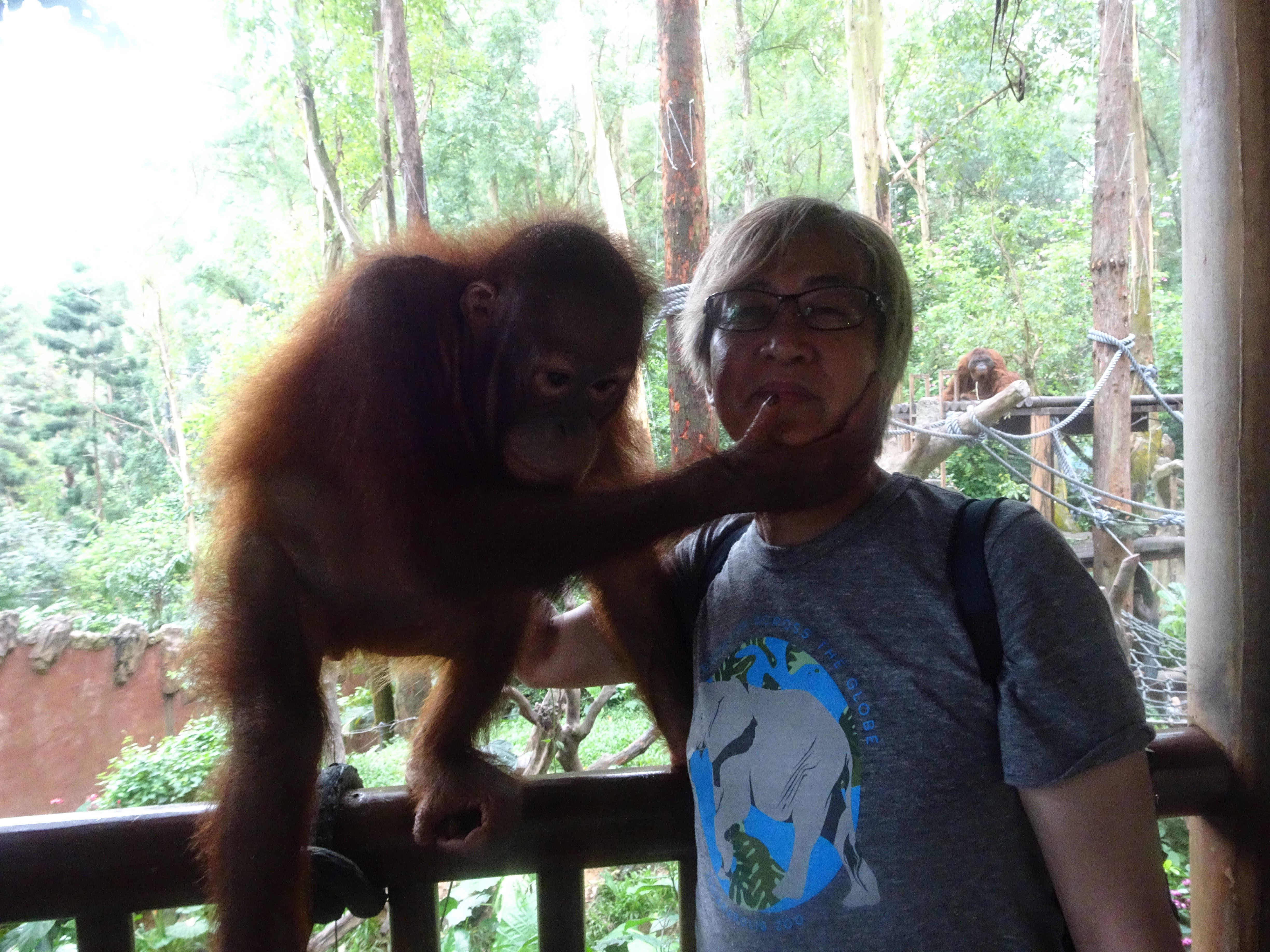 “森の人”、オランウータンが教えること　黒鳥英俊さん 第1回未来授業 Vol.2136