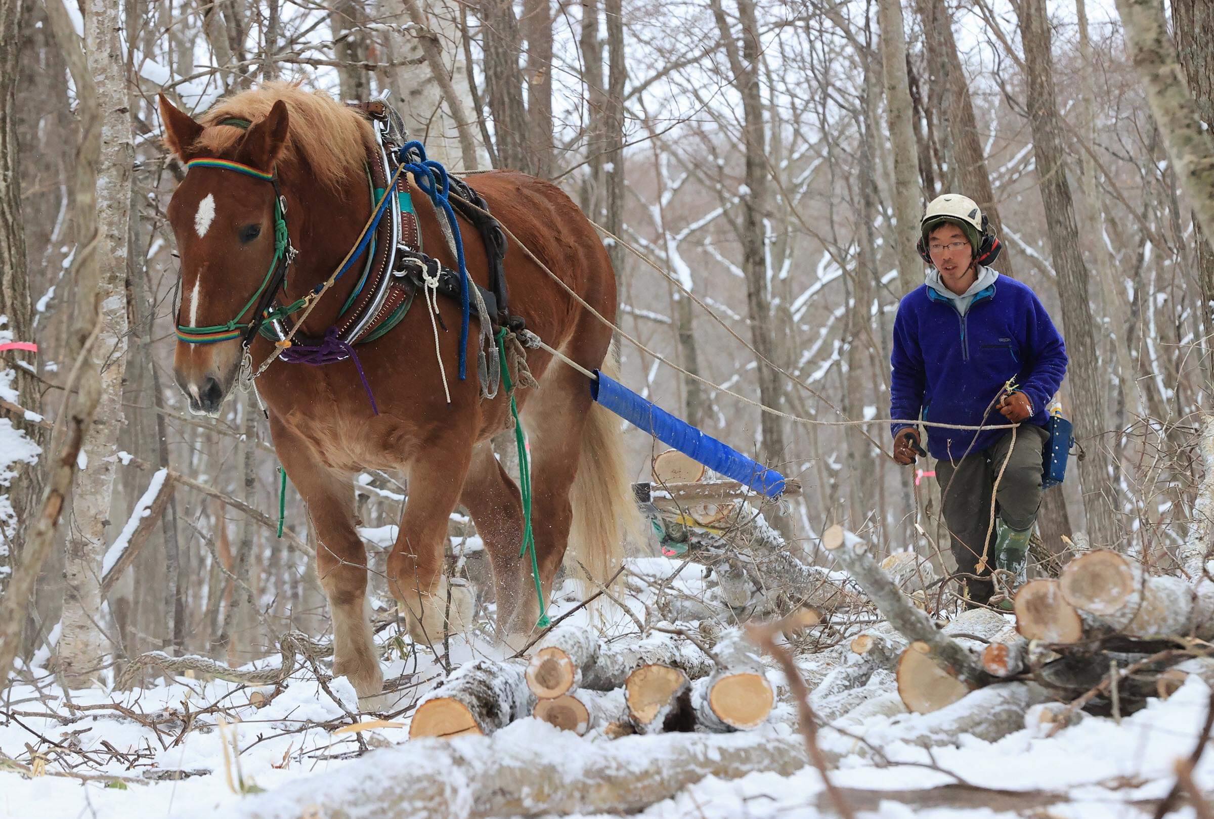 森で馬と働くローカルベンチャー　西埜馬搬さん   第1回未来授業 Vol.2207
