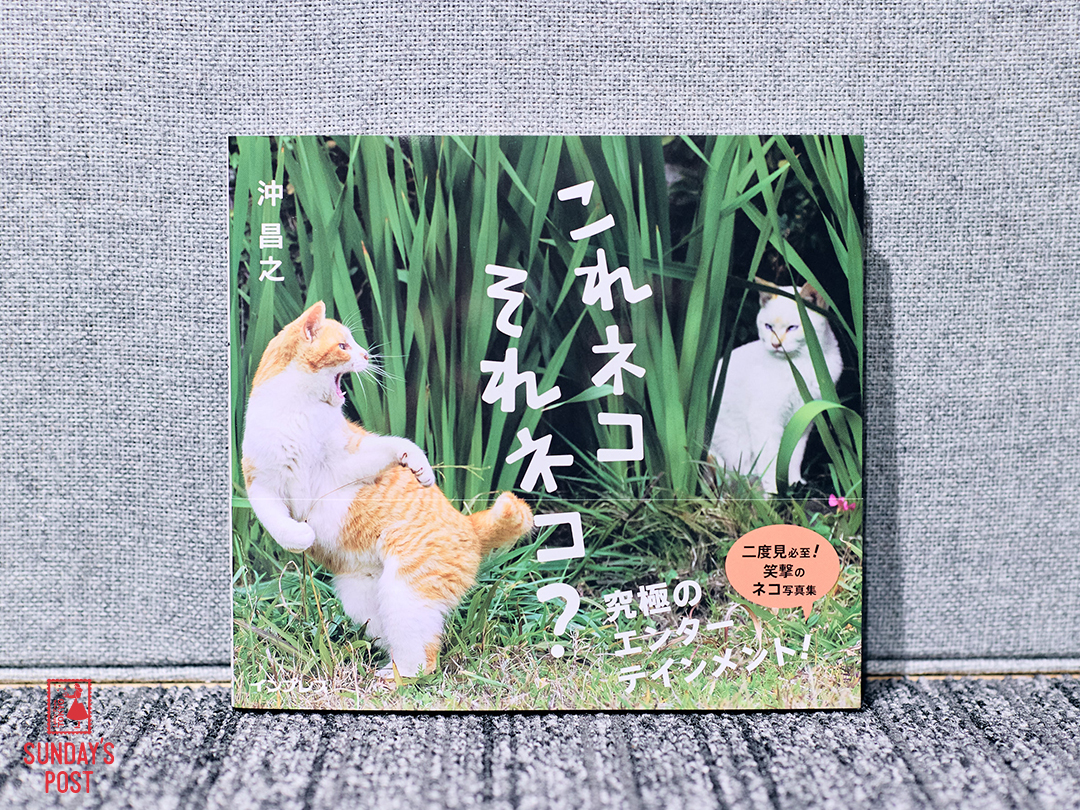 写真