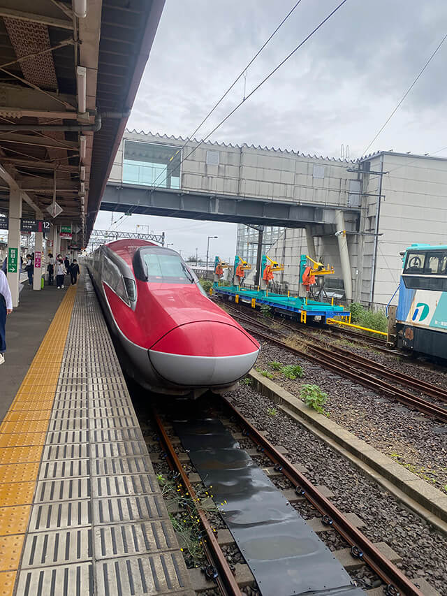 森修焼ガンマプロ 森修焼（しんしゅうやき）癒しと健康の陶器｜アース