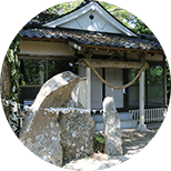 奥神社あこうの大木