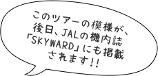 このツアーの模様が、後日、JALの機内誌「SKYWARD」にも掲載されます！！