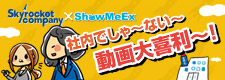 Skyrocket Company×ShowMeEx　社内でしゃxA靴覆て芦菎膣醉・・！