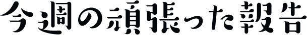 今週の頑張った報告