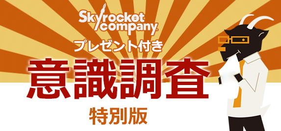 Skyrocket Company 社会人意識調査