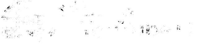 RADIO & YouTube Live 2.9（水）15:00-