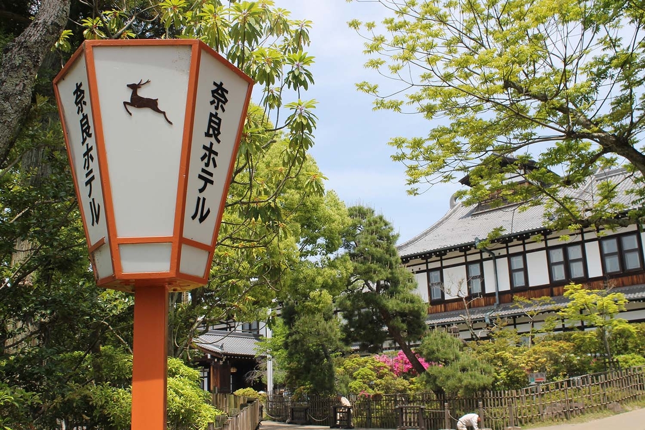 第百四十話 たったひとつのことをやり続ける－【奈良篇】アルベルト・アインシュタイン－