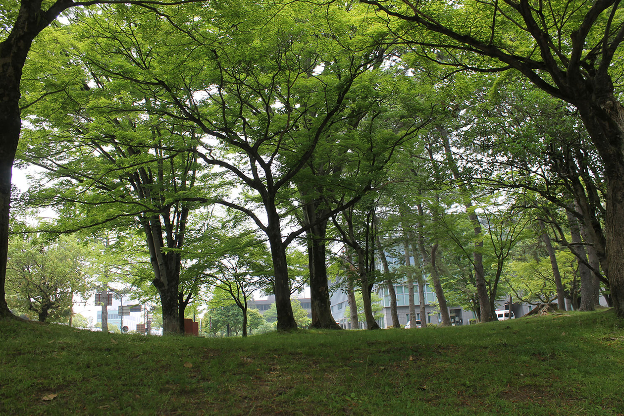 第百四十二話 日々の努力を怠らない－【奈良篇】日本画家 小倉遊亀－
