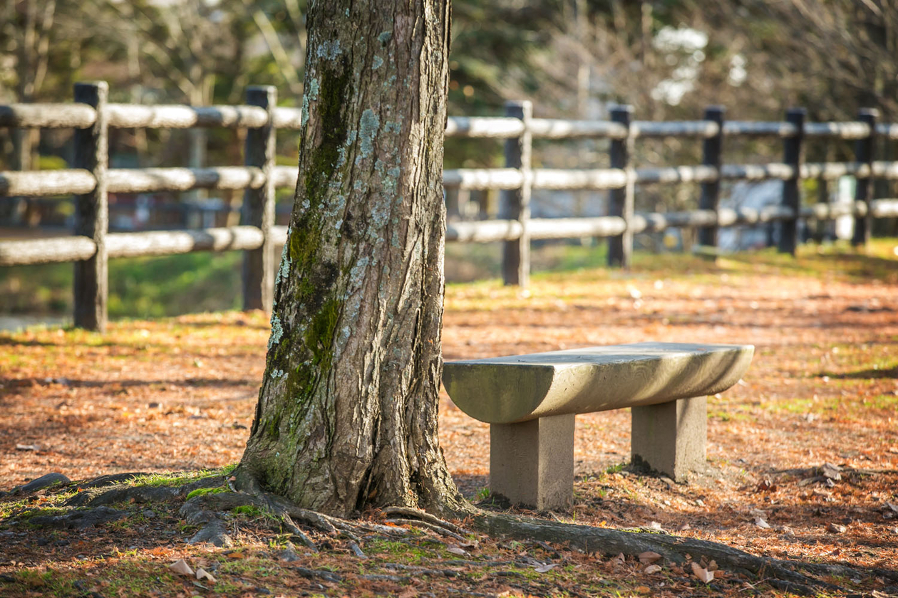 第十四話 ひとに助けられる－川端康成－
