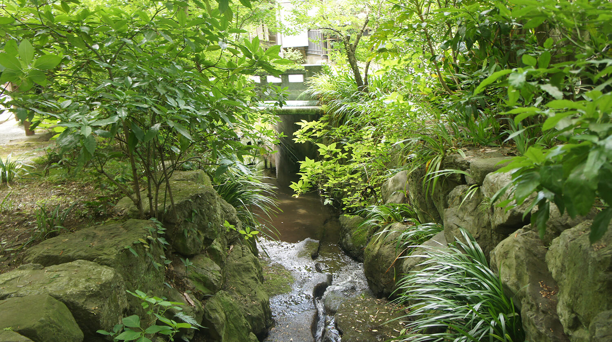 第百五十話 全ての基本は正しい姿勢－【鎌倉篇】円覚寺住職 須原耕雲－