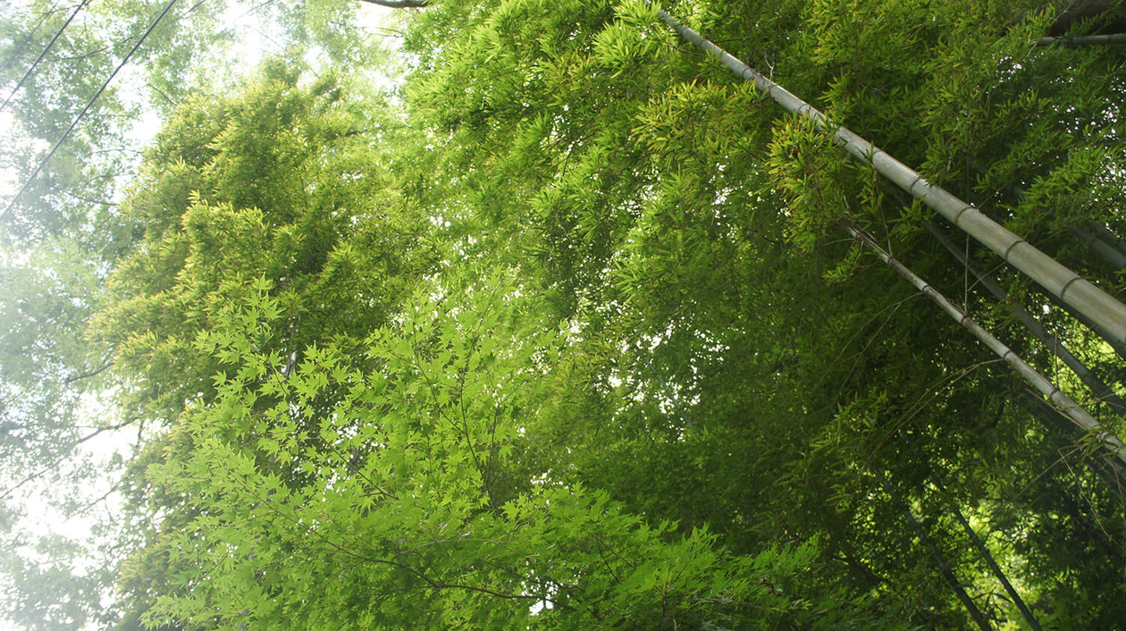 第百五十話 全ての基本は正しい姿勢－【鎌倉篇】円覚寺住職 須原耕雲－