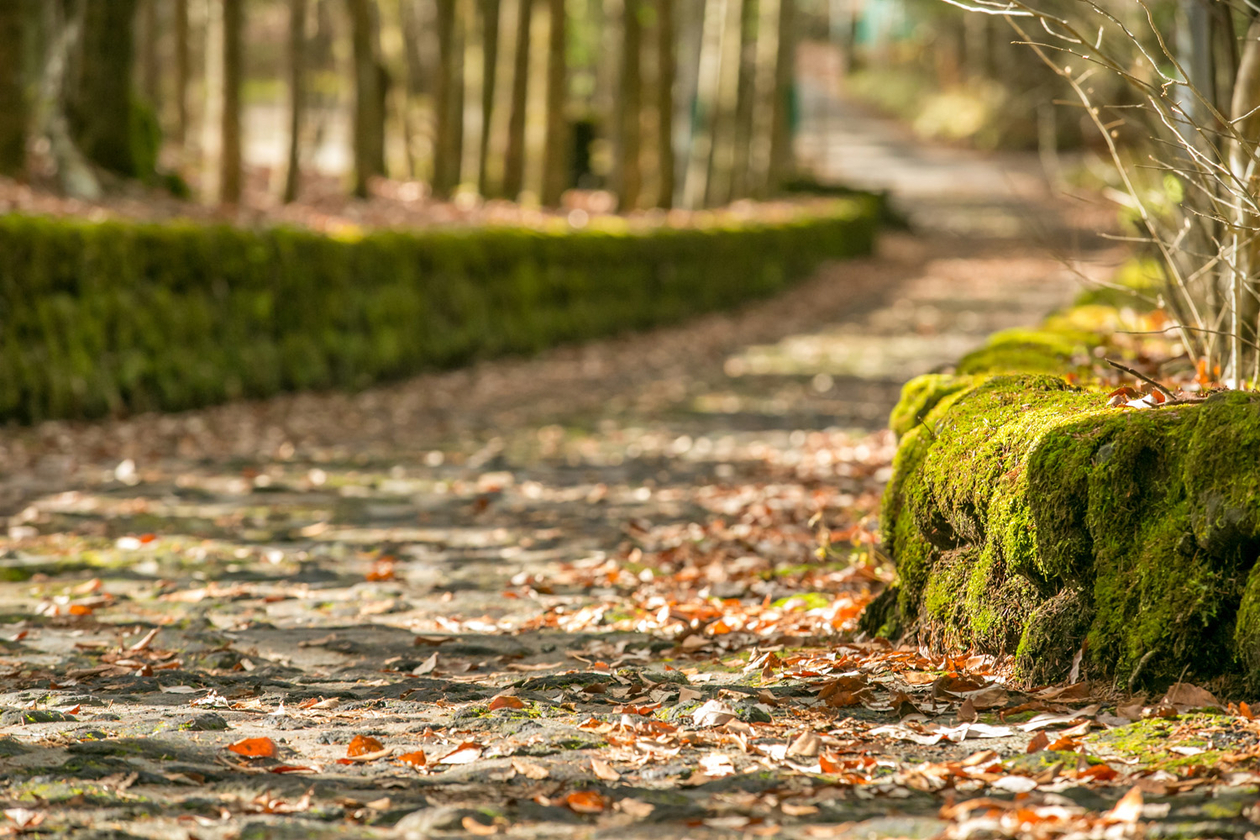 第十五話 　幸せの谷－オノ・ヨーコ－