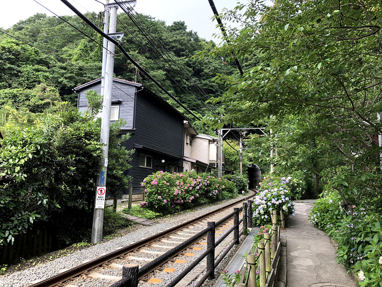 第百五十一話 孤独から逃げない－【鎌倉篇】俳優 鶴田浩二－