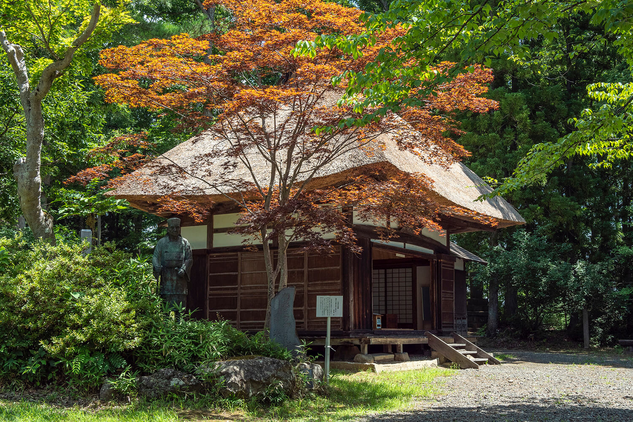 第百五十五話 絶望を優しさに変える－【長野篇】俳諧師 小林一茶－