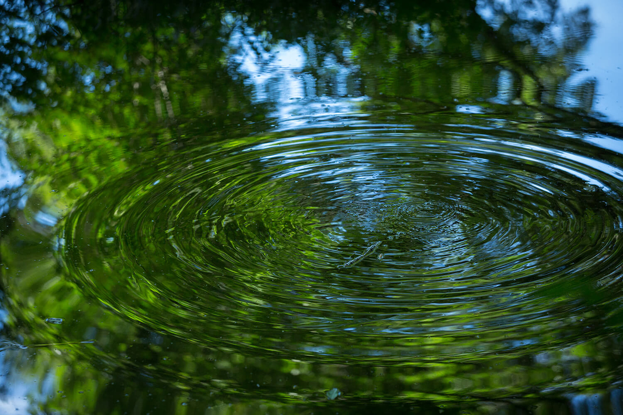 第百五十六話 襷をつなぐ－【長野篇】作詞家 山川啓介－