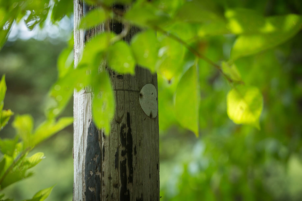 第百五十六話 襷をつなぐ－【長野篇】作詞家 山川啓介－