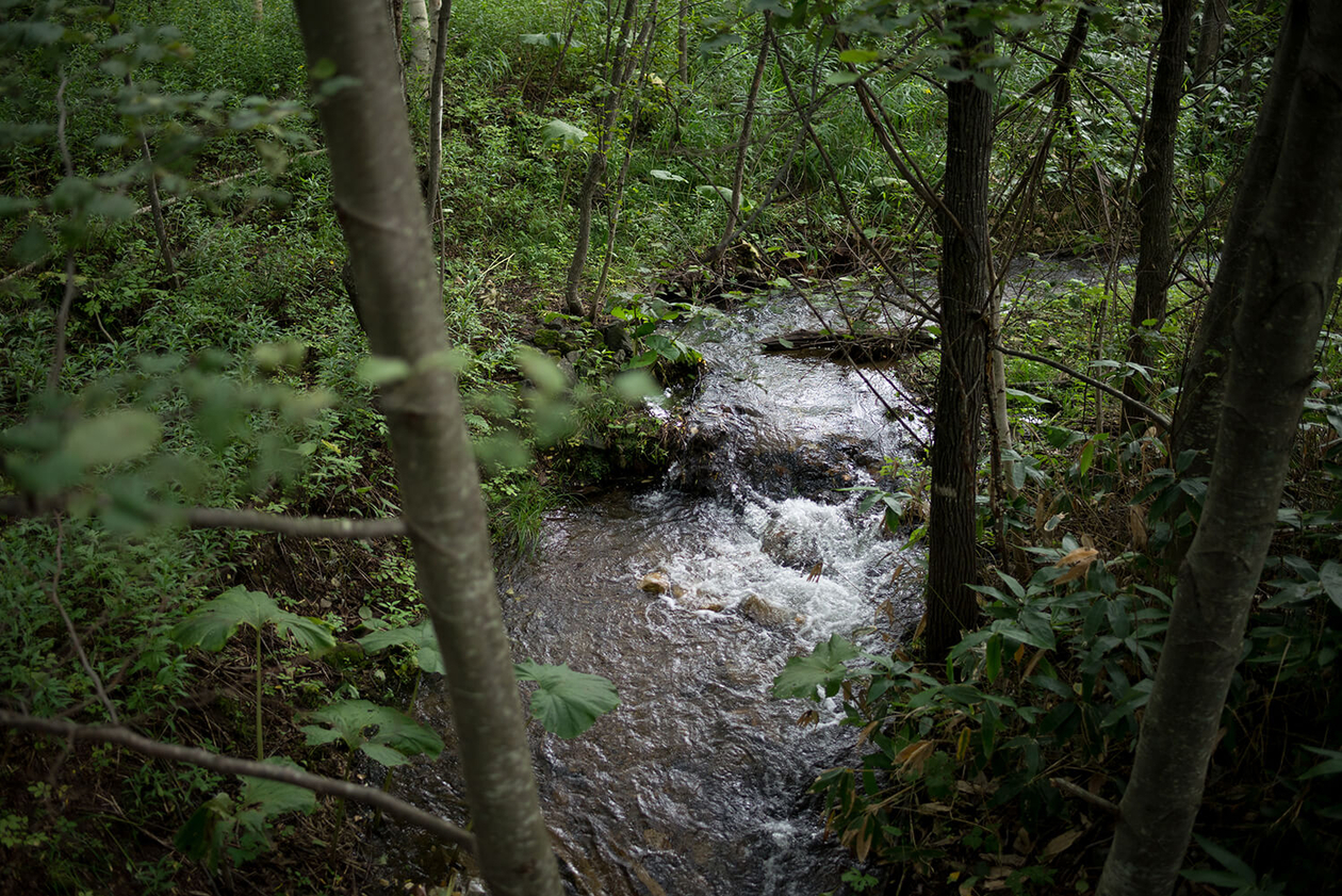 第百五十七話 焦らず、ゆっくりと－【北海道篇】森林学者 高橋延清－