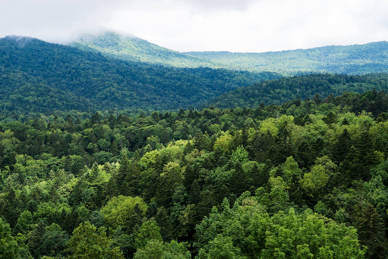 第百五十七話 焦らず、ゆっくりと－【北海道篇】森林学者 高橋延清－