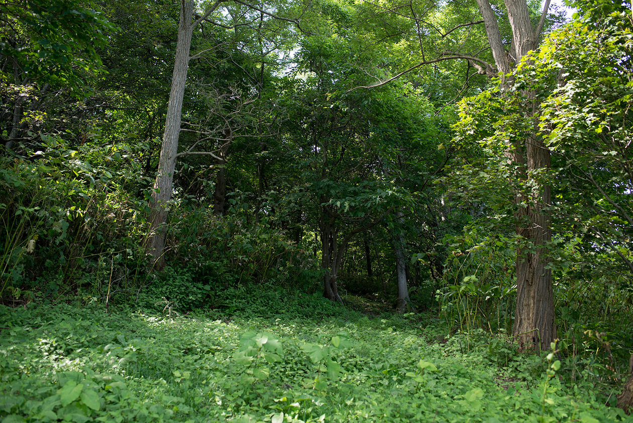 第百五十九話 自分の目で見たものしか信じない－【北海道篇】探検家 松浦武四郎－