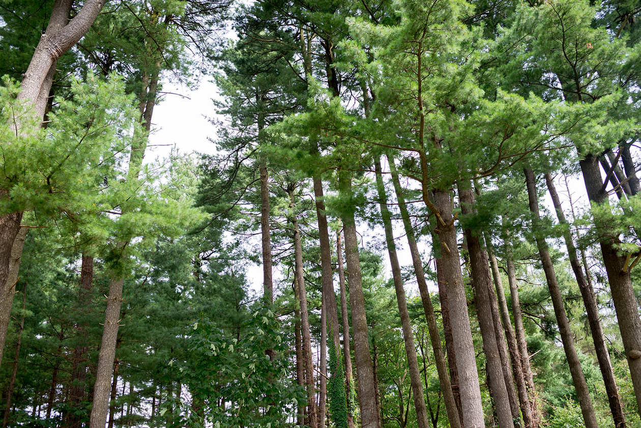 第百六十話 失敗から学ぶ－【北海道篇】作家 三浦綾子－