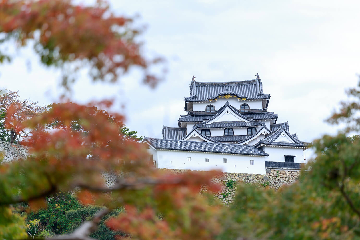 第百六十六話 今やれることは何かを考える－【滋賀篇】井伊直弼－
