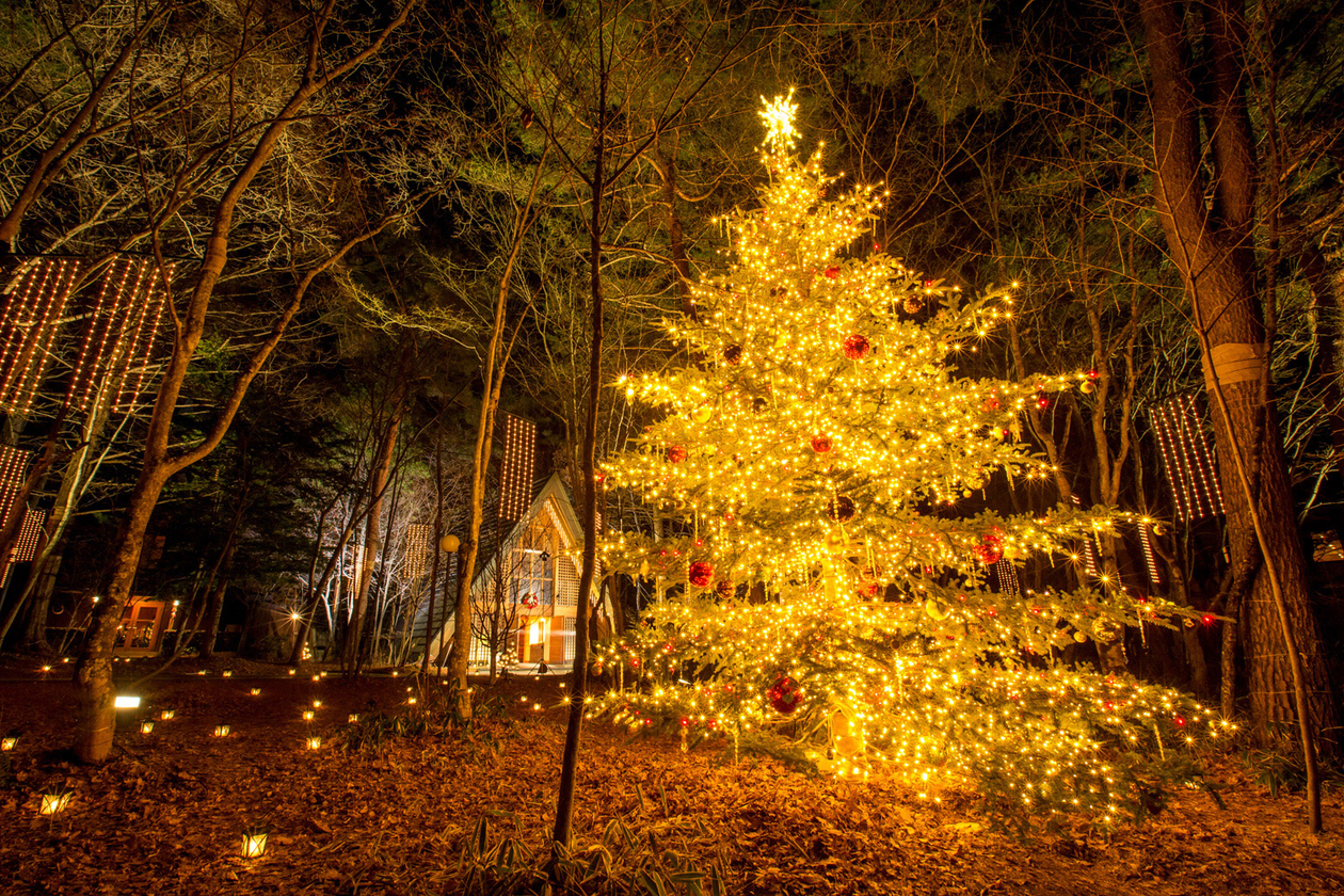 第十六話 軽井沢クリスマス・ストーリー－軽井沢を舞台にした二つの物語－