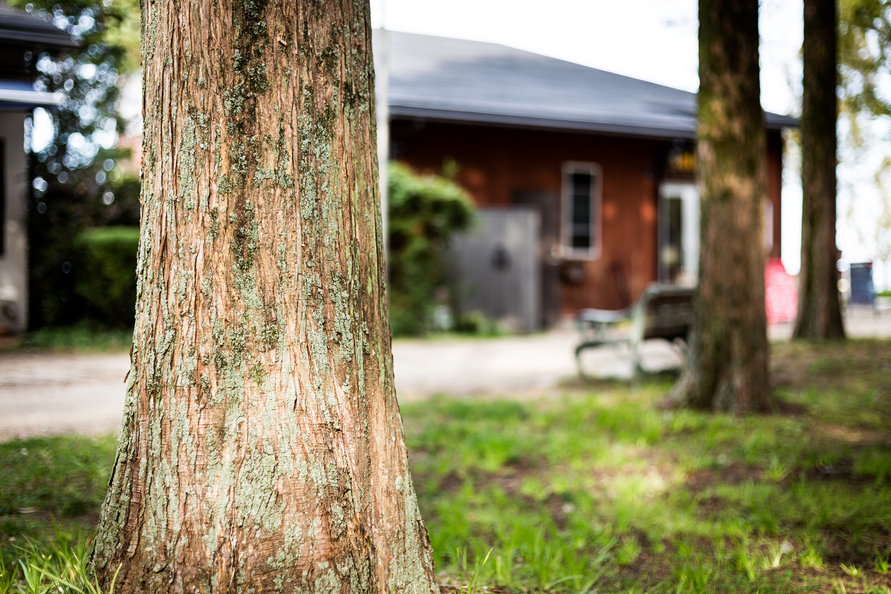 第百六十七話 自由を手放さない－【滋賀篇】作曲家 クロード・ドビュッシー－