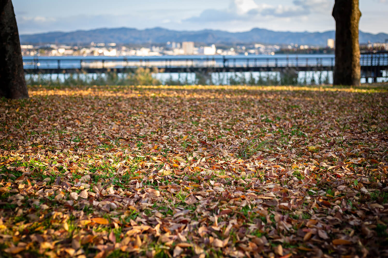 第百六十九話 魂を込める－【滋賀篇】ピアニスト 久野久－