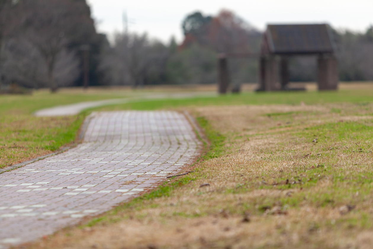 第百七十四話 結末を決めずに進む－喜劇作家 ニール・サイモン－