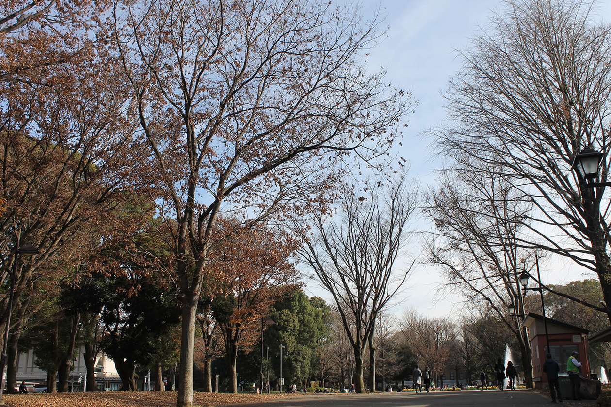 第百七十五話 自分を見つめ続ける－【東京篇】画家 エドバルド・ムンク－