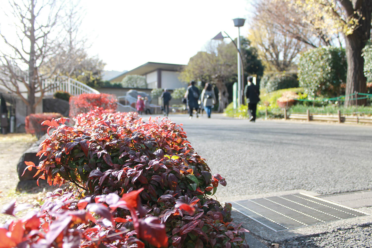 第百七十五話 自分を見つめ続ける－【東京篇】画家 エドバルド・ムンク－
