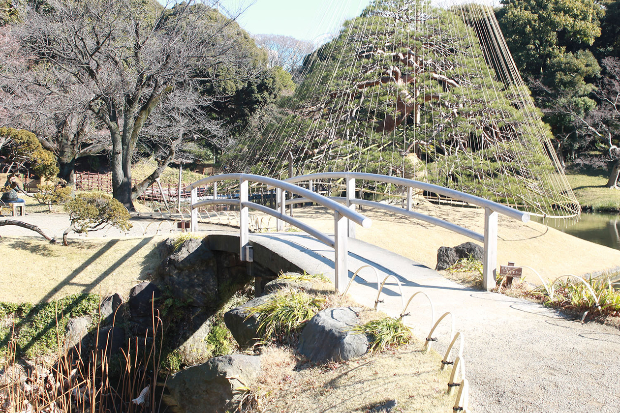 第百七十七話 進化することをやめない－【東京篇】フレディ・マーキュリー－