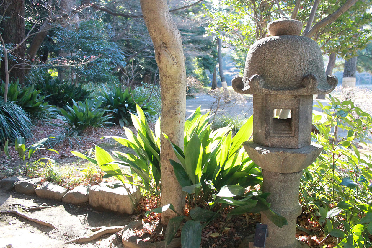 第百七十七話 進化することをやめない－【東京篇】フレディ・マーキュリー－