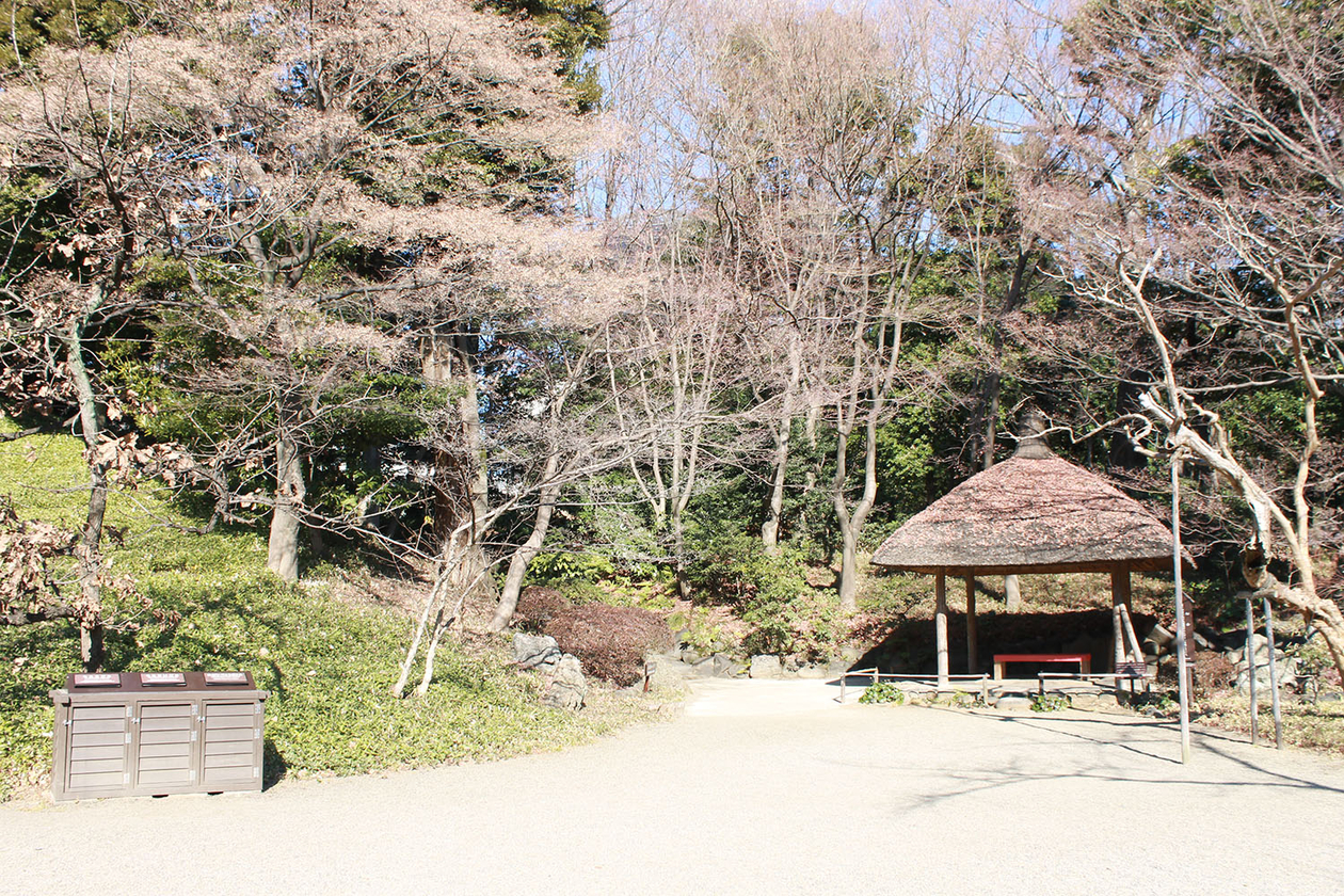 第百七十七話 進化することをやめない－【東京篇】フレディ・マーキュリー－