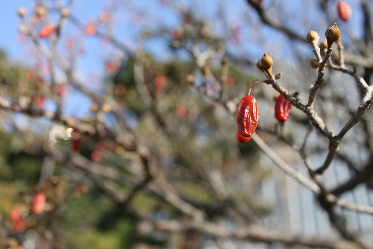 第百七十八話 心に青春を持つ－【東京篇】実業家・詩人 サムエル・ウルマン－