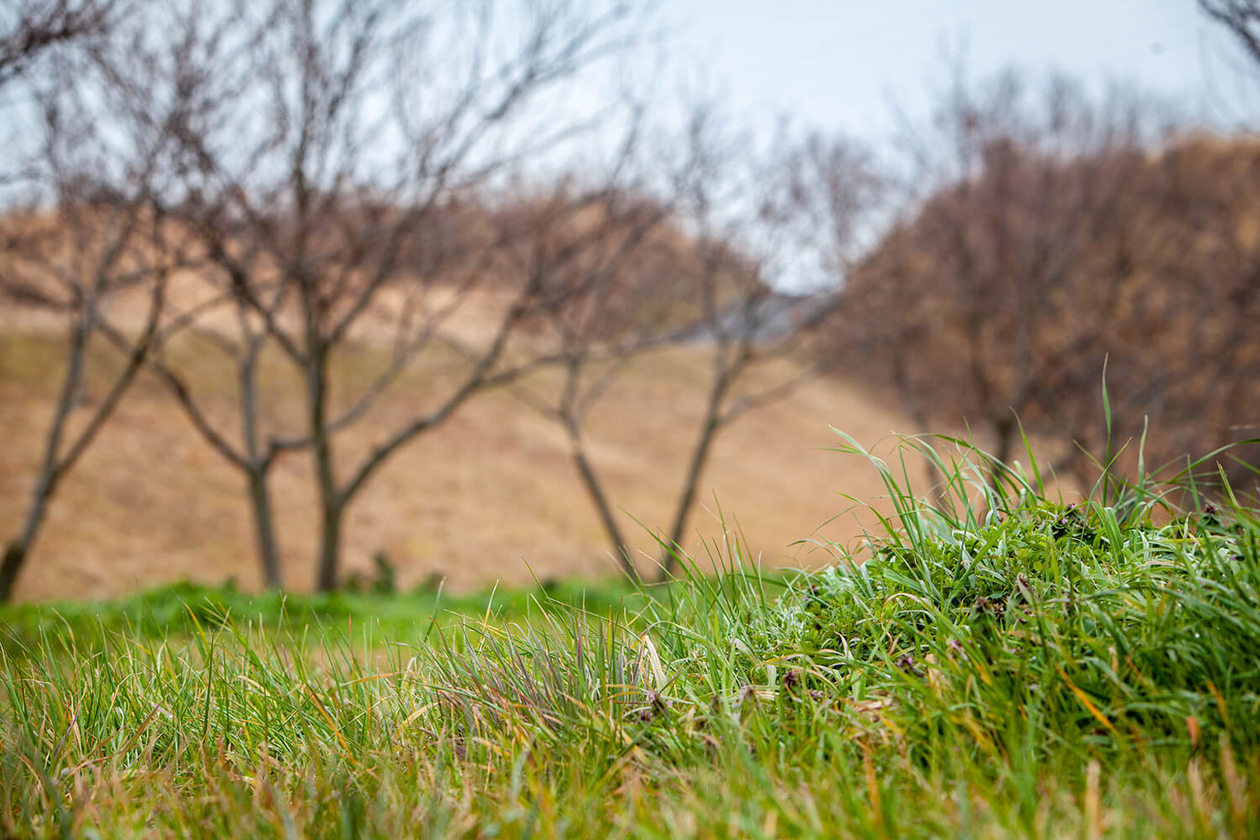 第百八十話 偽らない思いが、ひとの心を動かす－カレン・カーペンター－