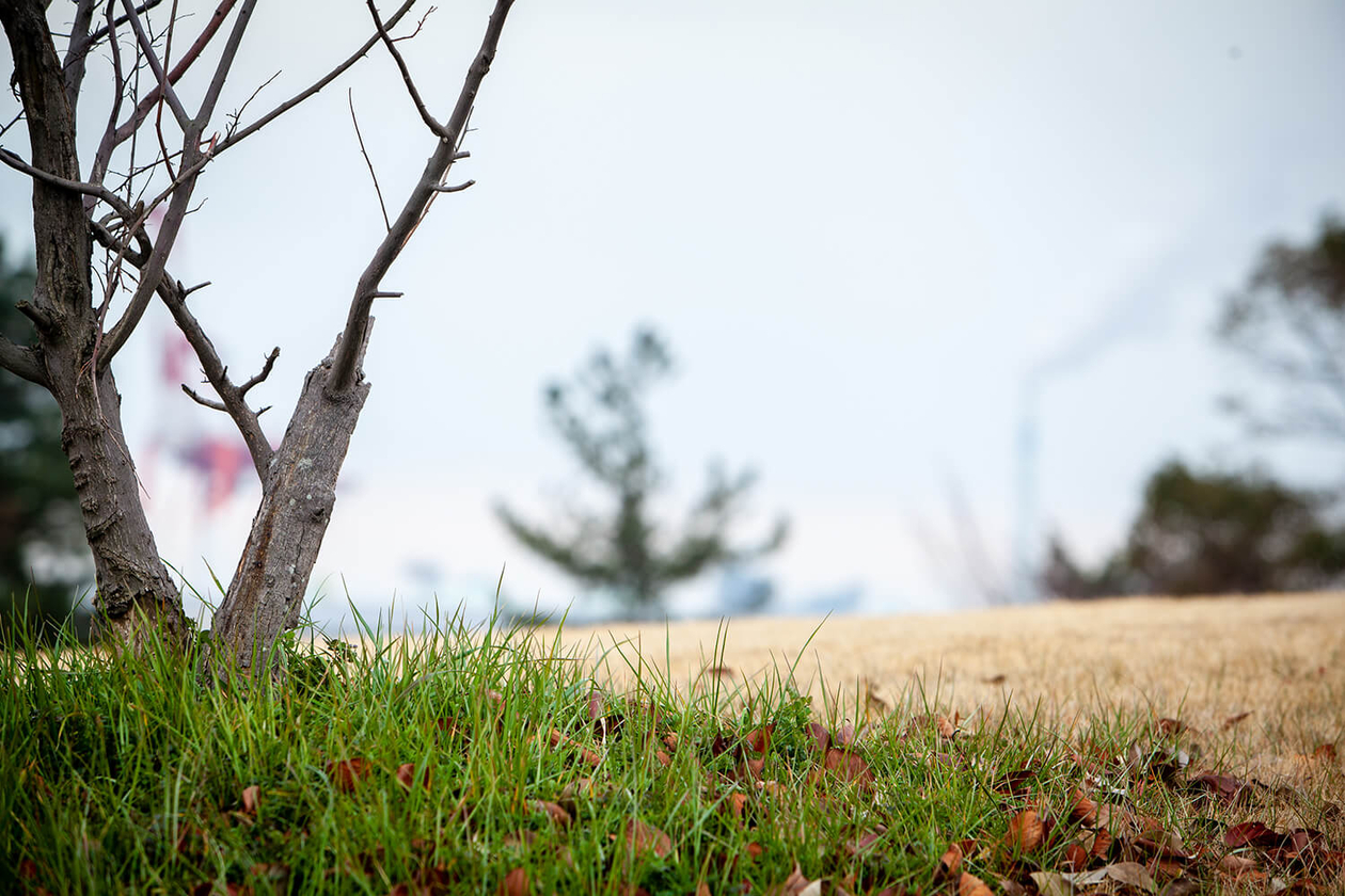 第百八十話 偽らない思いが、ひとの心を動かす－カレン・カーペンター－