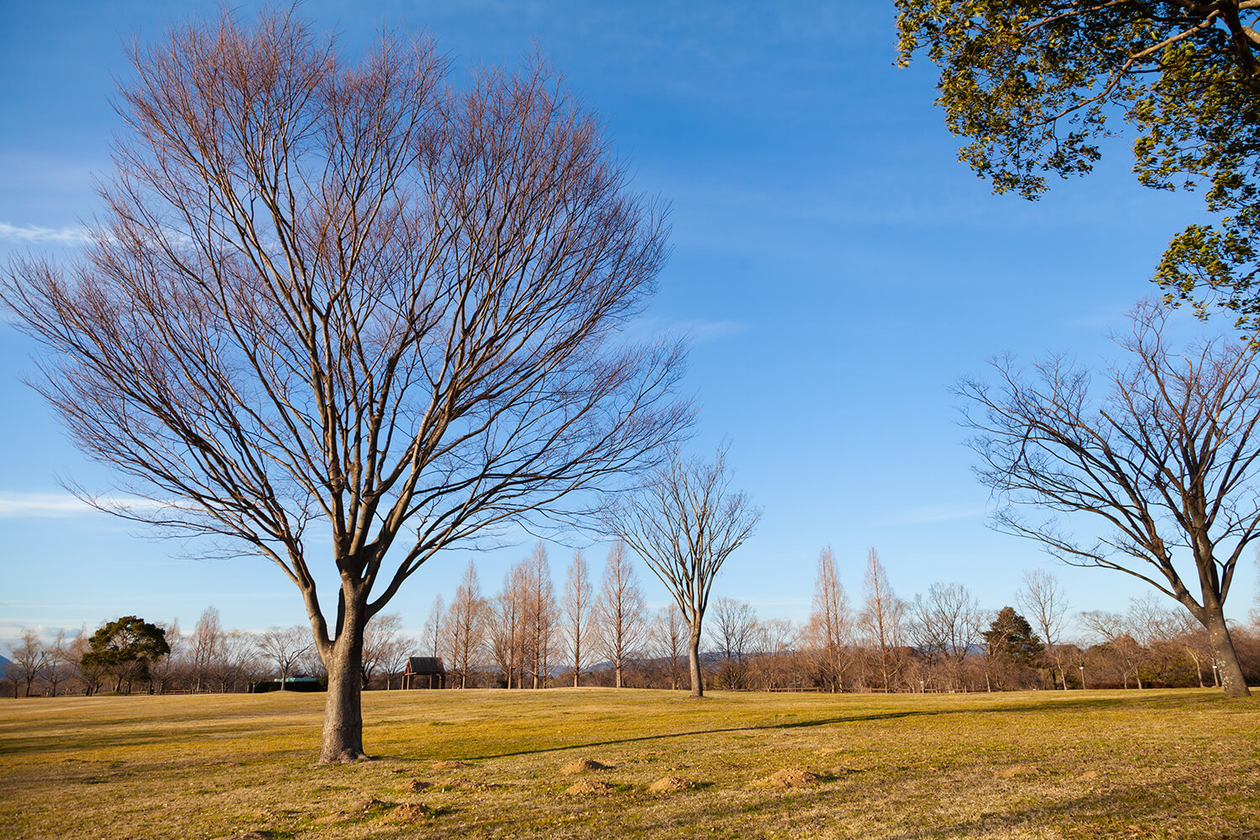 第百八十一話 何度でも絶望から這い上がる－小説家 フランツ・カフカ－