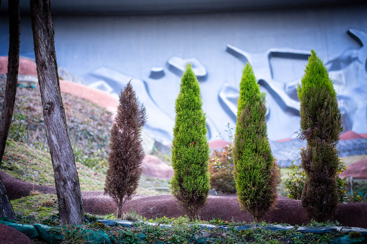 第百八十二話 自分が自分であることを喜ぶ－芸術家 サルバドール・ダリ－