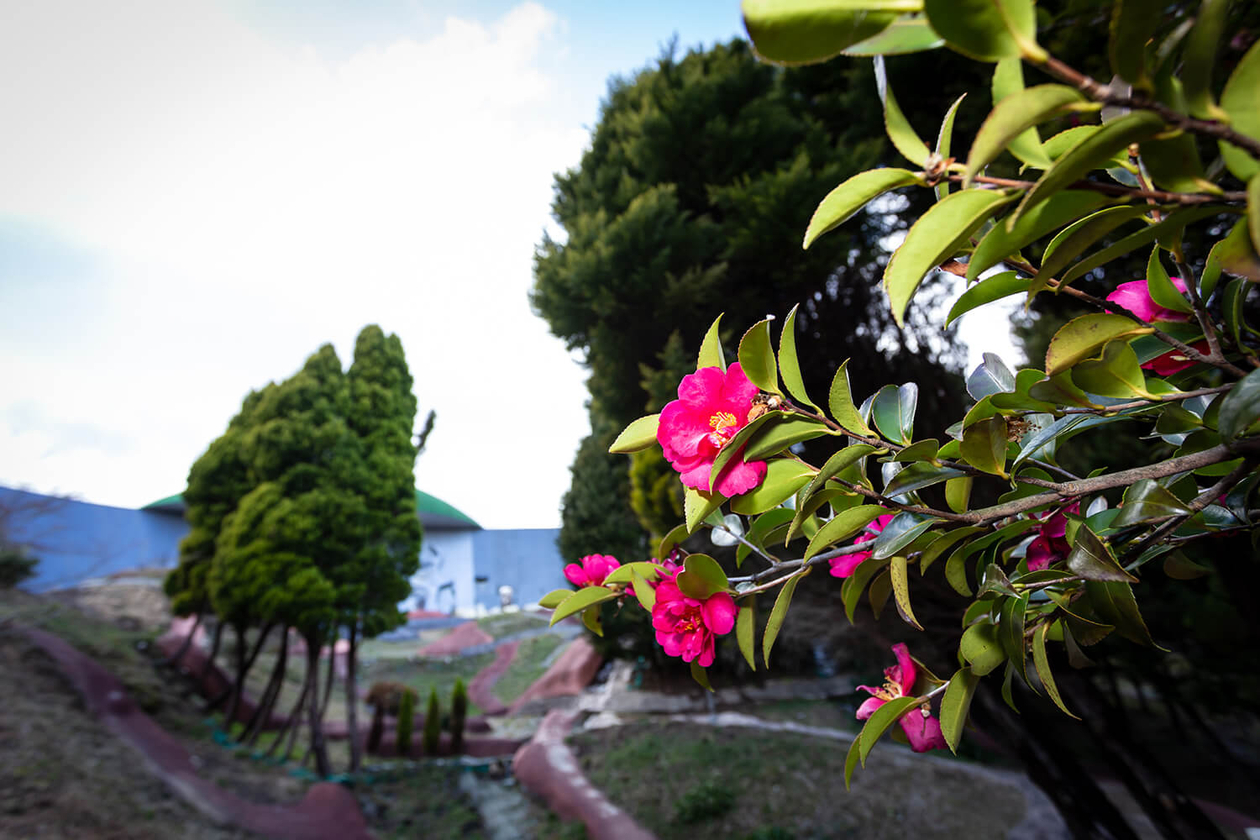 第百八十二話 自分が自分であることを喜ぶ－芸術家 サルバドール・ダリ－