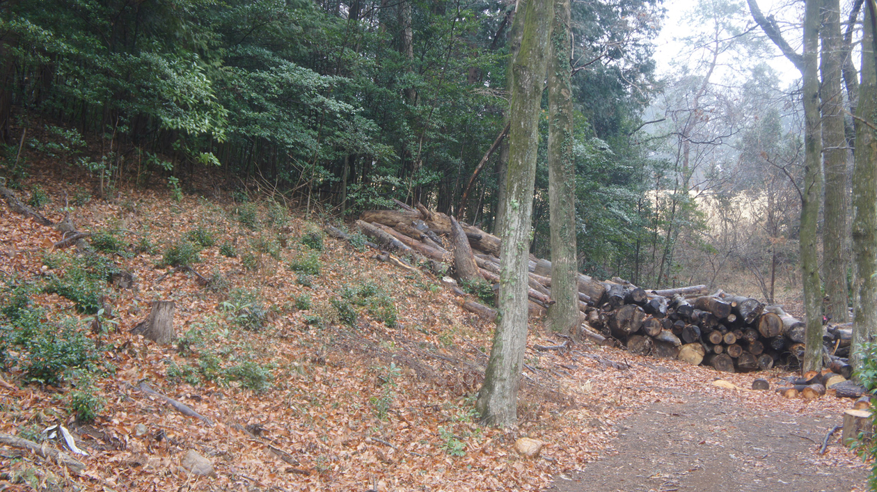 第百八十三話 ひとを幸せにする仕事をする－【埼玉篇】｢ムーミン｣作者 トーベ・ヤンソン－