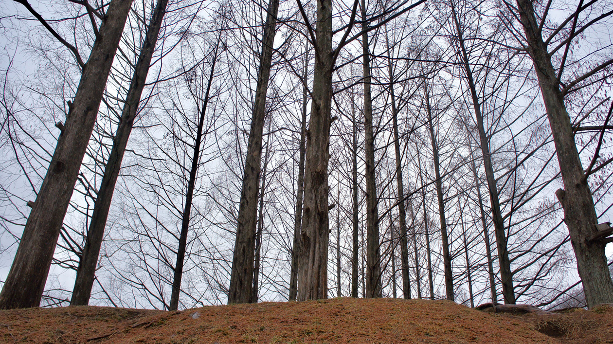 第百八十三話 ひとを幸せにする仕事をする－【埼玉篇】｢ムーミン｣作者 トーベ・ヤンソン－