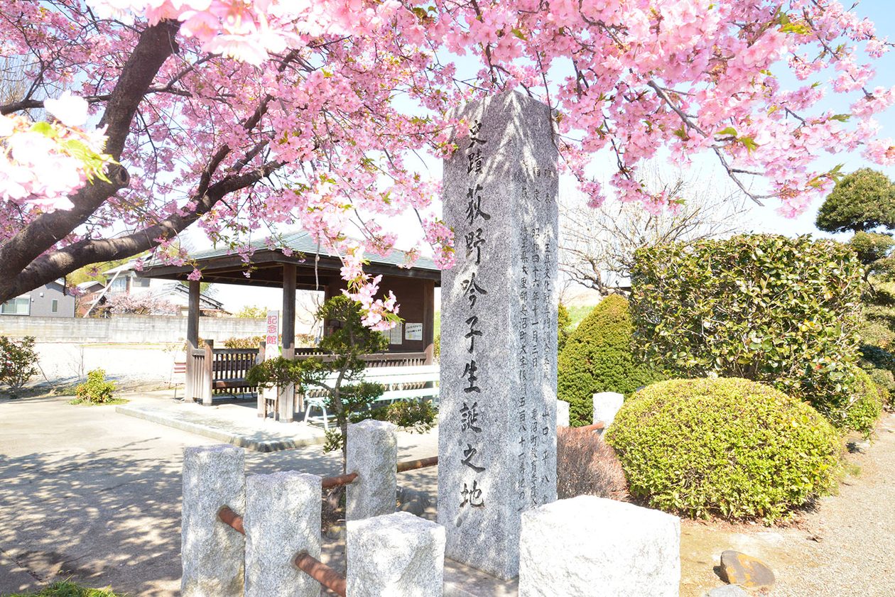 第百八十五話 ひとの歩かない道を行く－【埼玉篇】医師 荻野吟子－