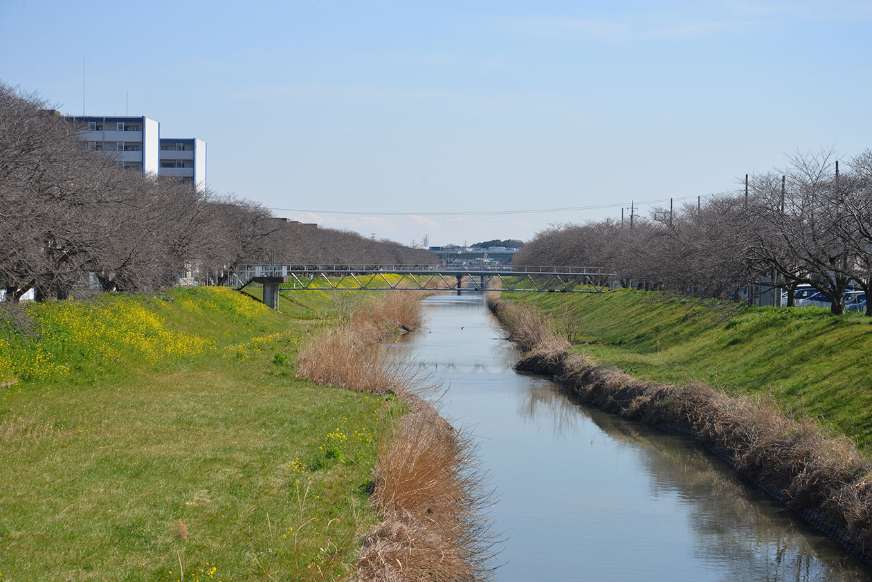 第百八十六話 自分を見つめることをやめない－【埼玉篇】小説家 中島敦－